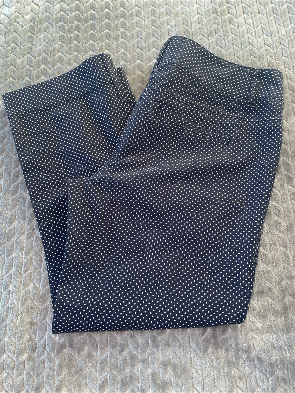 Ann Taylor LOFT Navy White Polka Dot Marisa Crop Pants Size 8